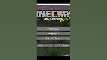 Minecraft 1.18 Dupe Glitch