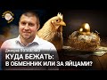 Куда бежать: в обменник или за яйцами? Дмитрий Потапенко