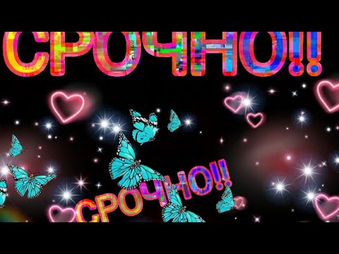 Видео: Срочно!!