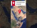 Восстановление волос возможно. Истории со всего мира! 🌍