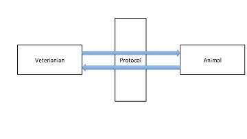 Protocol в Objective C часть 2. Учимся использовать протоколы