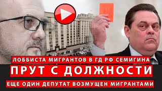 Лоббиста мигрантов в ГД РФ Семигина прут с должности! Ещё один депутат возмущён мигрантами!