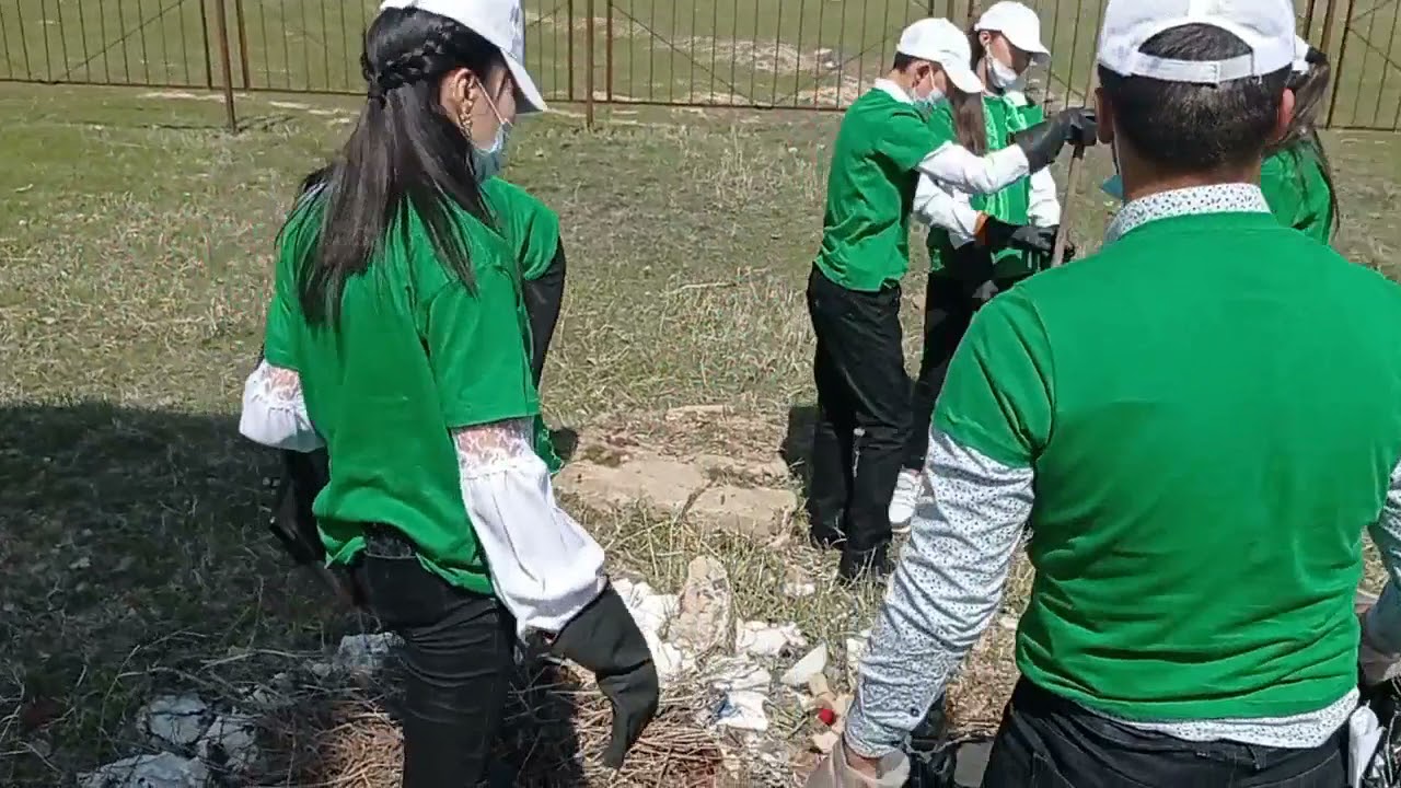 Эковолонтер