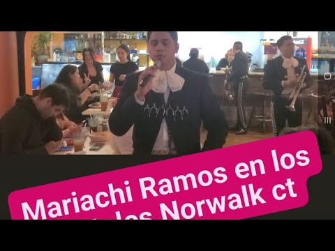 Los portales en norwalk ct presentan mariachi Ramos en vivo