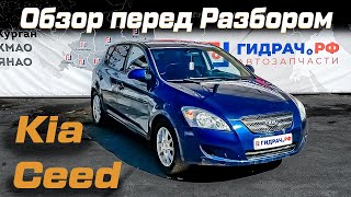 Обзор перед разбором Kia Ceed (ED)