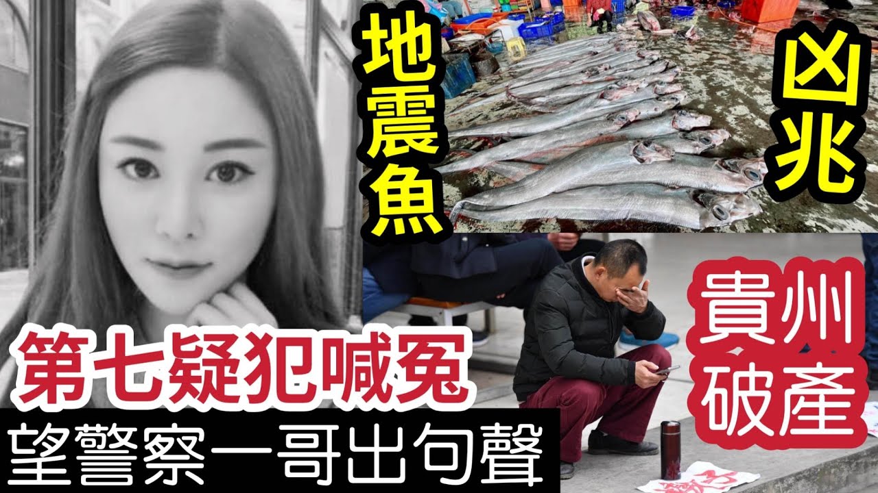 Watch 『最新』重大冤情！蔡天鳳案「被封第7疑犯」潘女喊冤！疑網上「自爆案情」望警隊一哥還公道？台東驚現「50條地震魚」惹恐慌！貴州市「打響頭炮」地方債務「過萬億元」如同破產？ 內地猛料「看中國新聞快訊！」 on YouTube