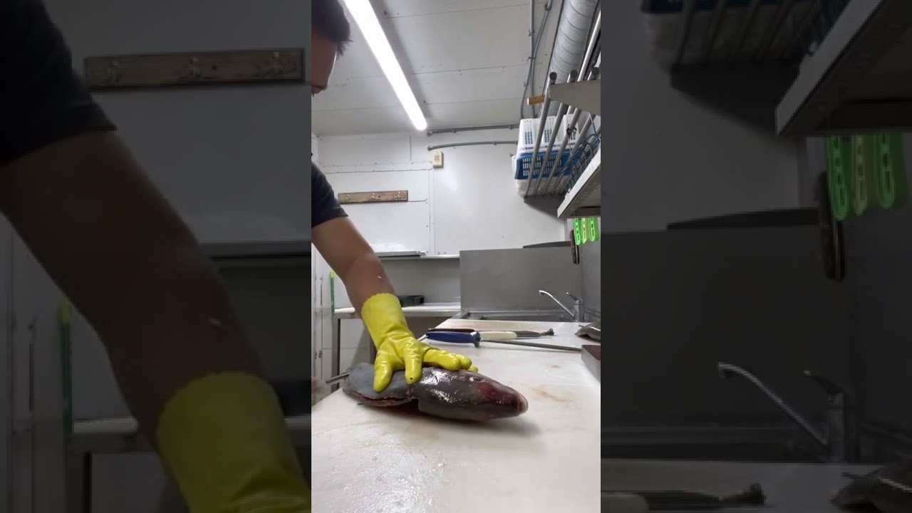 How to fillet a trevally.