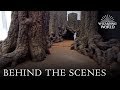 Behind the scenes of the Forbidden Forest at Warner Bros. Studio Tour London