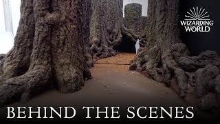 Behind the scenes of the Forbidden Forest at Warner Bros. Studio Tour London