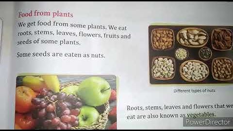 Class -1, Science , Chapter - 10, Part - 2, 12/09/2020