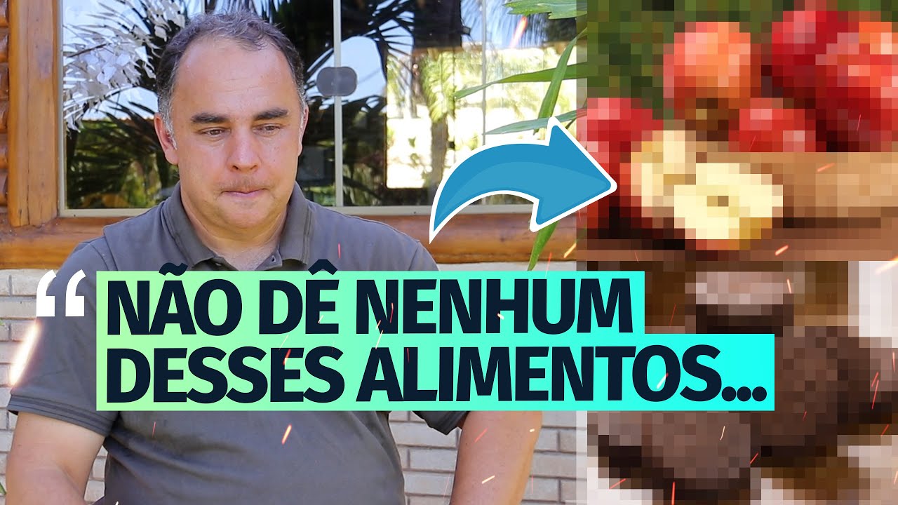 TOP 10 ALIMENTOS PROIBIDOS PARA RING NECK
