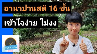 อานาปานสติ 16 ขั้น รู้ชัด ปฏิบัติได้จริง