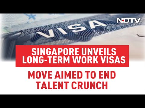 Singapore Unveils Long-Term Work Visas To End Talent Crunch | The News