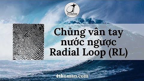 Chủng vân tay nước ngược RL (Radial Loop) - Thấu hiểu bản thân cùng 4T Human