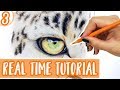 REAL TIME Colored Pencil Tutorial | How To Draw a LEOPARD EYE | Part 3