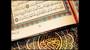 سورة المعارج - توفيق الصائغ