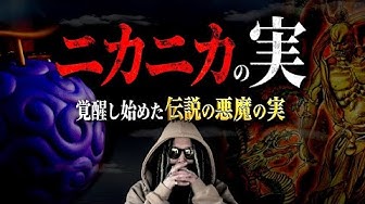 ゴムゴムの実 Youtube