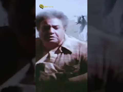 يا حبيبتى يا لحمة فيلم سلام ياصاحبي افلام عادل امام