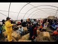 Joel Salatin - Solving World Problems (With Farming)