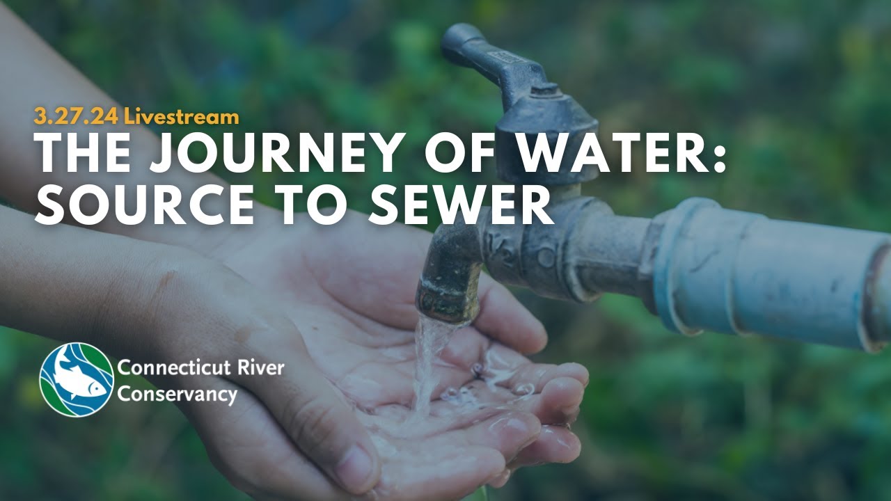 LiveStream: The Journey of Water from Source to Sewer