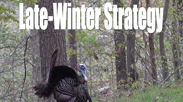 【Camojojo】Calling in Late-Winter Turkey: Tips and Tactics for Attracting Mating Turkeys