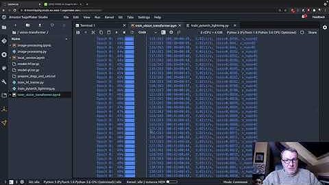 SageMaker의 Vision Transformer, 3부: PyTorch Lightning을 사용한 학습