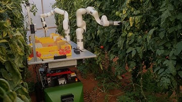 Autonomous greenhouse platform with tomato harvester attachment