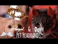 DIY Pet Halloween Costumes Angel Devil Headbands