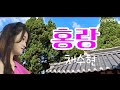 홍랑 채수현 홍랑 채수현