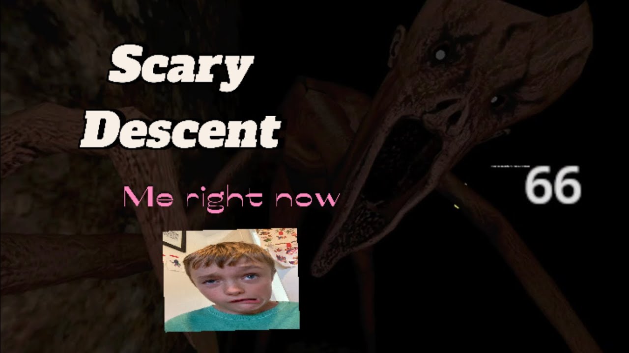 Scary Descent VR