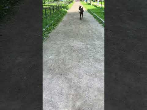 #рекомендации #видео #лето