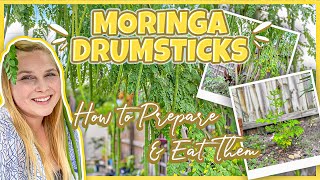 Moringa Drumsticks | How To Harvest, Prepare, & Eat The Moringa Tree Seed Pods screenshot 5
