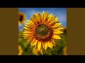 A Lonely Flower