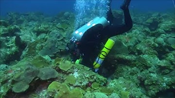 Mesophotic coral reef geology in the U.S. Virgin Islands