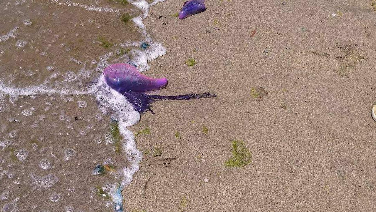 Dos Víctimas De La Agua Mala En Atlántico Youtube