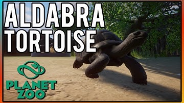 Aldabra Tortoise Habitat Walkthrough 🐢 Let