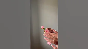 How to open carnation / Как открыть гвоздику