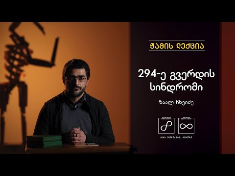 Ზაალ ჩხეიძე: 294-ე გვერდის სინდრომი