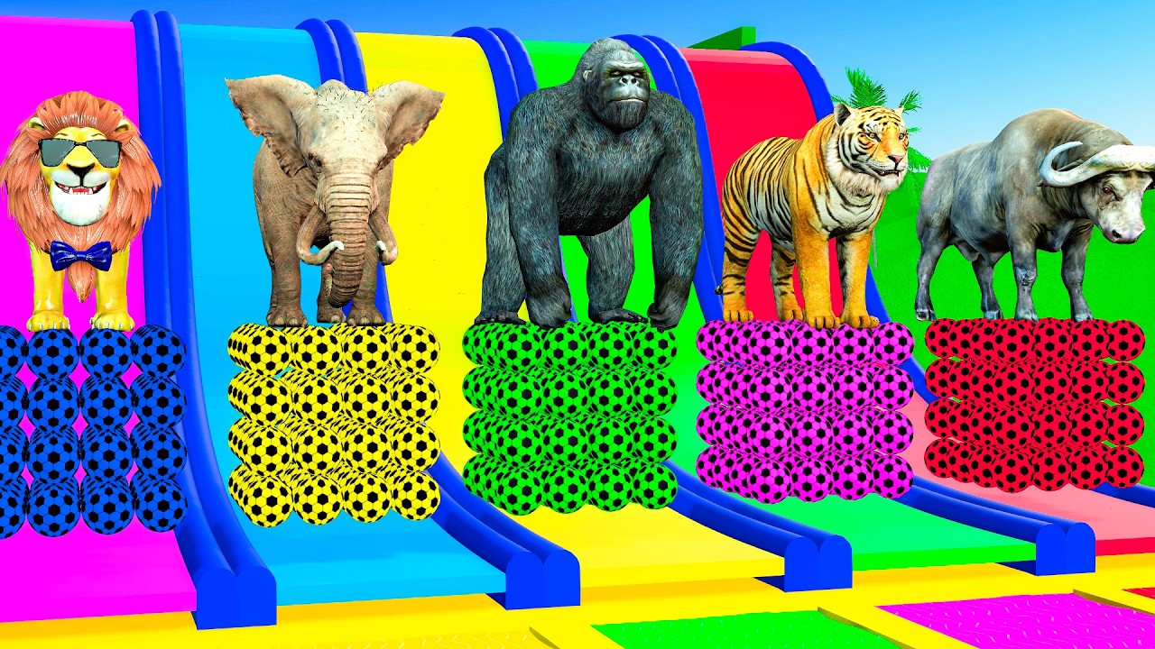 Long Slide Game with Cow Elephant Gorilla Hippopotamus Tiger 3d Animal Game Funny 3d Animals