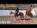 EL RUDO - Potro Hijo de Payaso Rojo Gunner iniciándose en Rancho La Corporación
