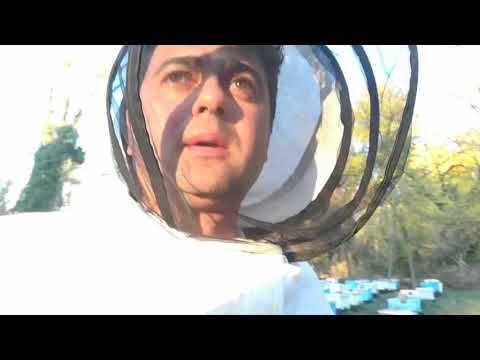 ვიდეო-63. ბიპინით წამლობა