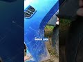 Siapa nih yang motornya kotor tapi males nyucinya
