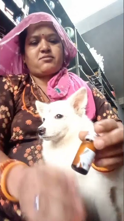 ringtone dawai para Chintu ka khilauna