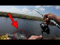 This electric technology catches me more fish! Catch and Cook