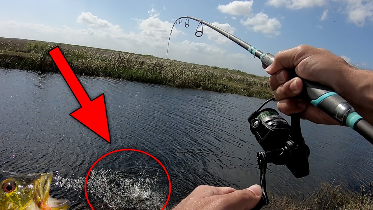 This electric technology catches me more fish! Catch and Cook 