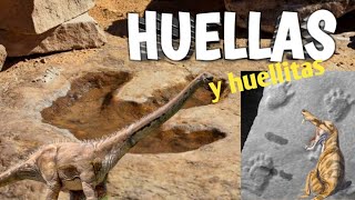 🦕ICNITAS FÓSILES 🐾Huellas y huellitas de animales EXTINTOS 🦖