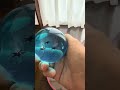 Marble Run ⭐ Everyone's smiling, Ocean Drums, soothing sounds 1