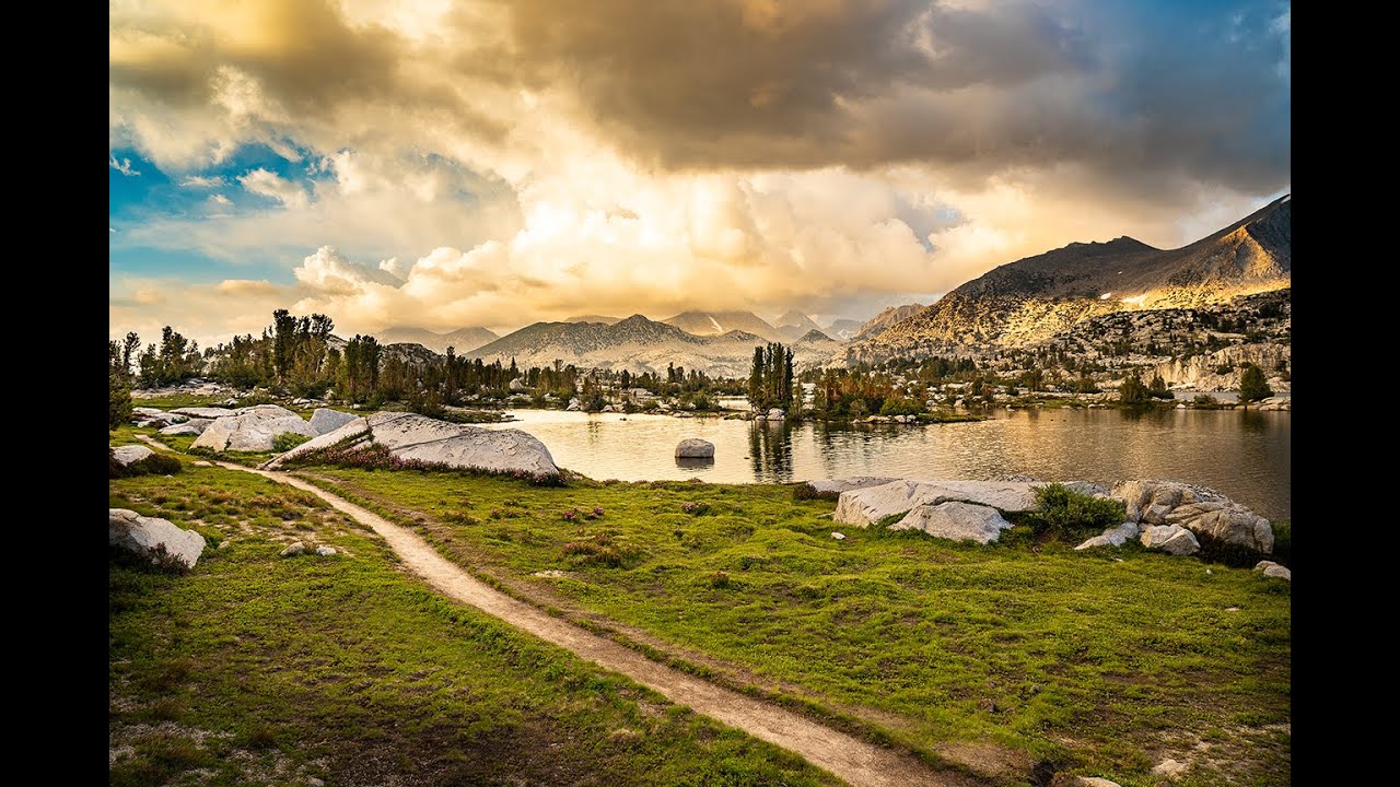 Dave White Studio Print Giveaway