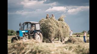 Farming Simulator 25.Cенокос