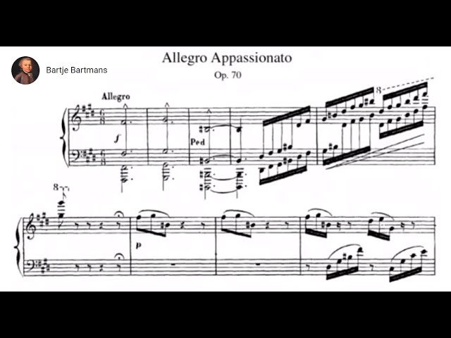 Camille Saint-Saëns - Allegro appassionato, op. 70